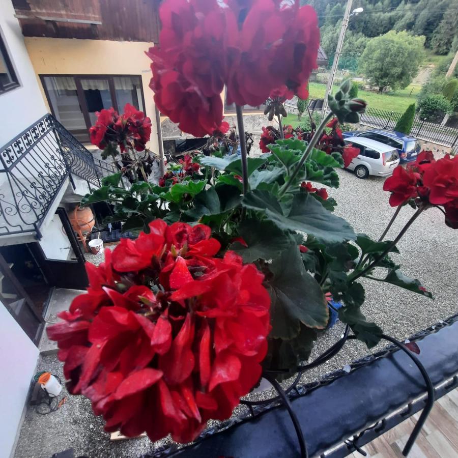 Casa Dana Olteanu Hotell Moeciu De Sus Exteriör bild
