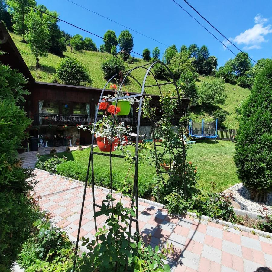 Casa Dana Olteanu Hotell Moeciu De Sus Exteriör bild